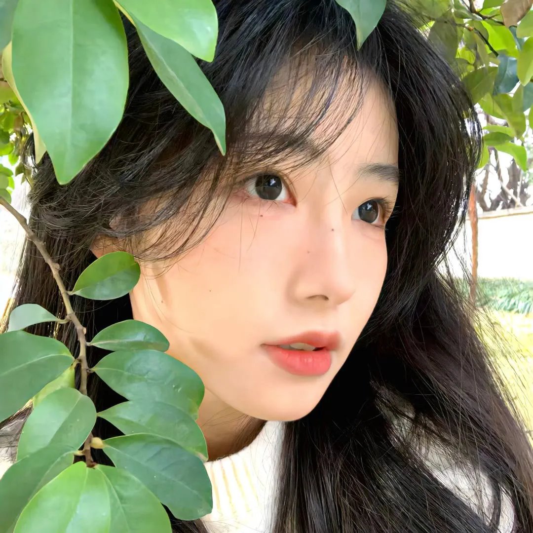 香豌豆