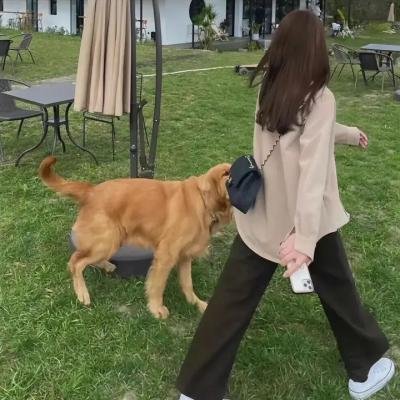 狸太怨