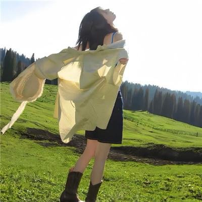 迷蝶