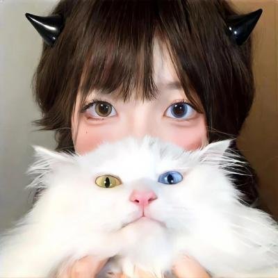 狐狸的故事
